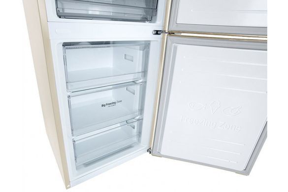 Холодильник LG GC-B509MEWM